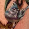 bethmccollum73 - @bethmccollum73 - TikTok