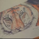 Beth Mcconaghy - @bethmcconaghy_ - Instagram