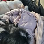 Beth McConnell - @mcconnell1344 - Instagram