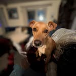 Beth McCorkle Kruse - @krusebeth - Instagram