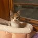 Beth Mccoy - Facebook