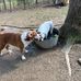 Beth McCoy - Facebook