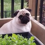 Beth McCoy Plaskas - @bethplaskas - Instagram