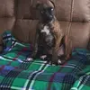 BethMcCoy - @ebeth.mccoy - TikTok