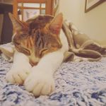 Beth Degnan McCracken - @bethcrackers2437 - Instagram