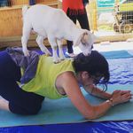 Beth McCracken - @mcchutter17 - Instagram