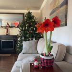 Beth McCracken-Ander - @bethmcander007 - Instagram