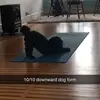 bethmccrory0304 - @bethmccrory0304 - TikTok