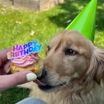 Beth McCue - @bmccue4 - Instagram