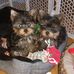Beth Mccue - Facebook