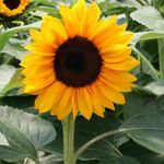 Beth McDermott - @bethmcdermott66 - Instagram