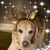 Beth McDermott Grund - @bamg0597 - TikTok