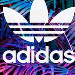 Bethmcdonagh - @bethmcdonagh3 - Instagram