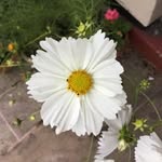 Beth McDonough - @photosconfrankie - Instagram