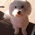 Beth McDorman - Facebook
