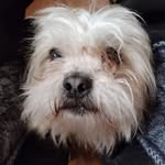 Betty Mcelwee - @betty.mcelwee.7 - Instagram