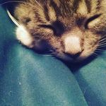 Maggie Beth Mcginness - @maggie_is_bae18 - Instagram