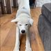 Beth McGinty - Facebook