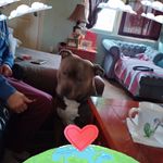 Beth McGovern - @mcgovern7085 - Instagram