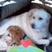 Beth McGovern - Facebook