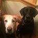 Beth McGovern - Facebook