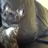 beth mcgowan - @beth.mouse - TikTok