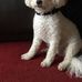 Elizabeth McGowan - Facebook