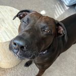Beth McGraw - @beth_mcgraw - Instagram