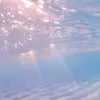 bethmchughh - @inmyfeelllss - TikTok