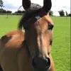 skyeemizebethmcinnes - @skyetheunicornrider - TikTok