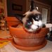 Beth McLean - Facebook