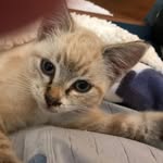 Mary Beth McKelvey - @mckelveymarybeth - Instagram