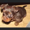 Elizabeth Mcleish - @elizabeth.mcleish - TikTok