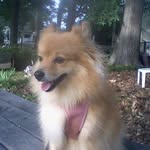 Betty McLemore - @bettymclemore - Instagram