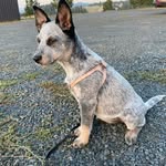 Beth McManus - @garnetcreekstudio - Instagram