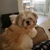 jobethmcmanus121310 - @jobethmcmanus121330 - TikTok