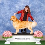 Betsy Mcmichael - @betsy_mcmichael - Instagram