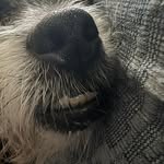 Beth Ledoux McNally - @mymca3 - Instagram