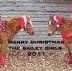 Beth McNamara Bailey - Facebook