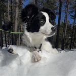 Beth McNamara Thompson - @saltynme - Instagram