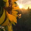 BethMcNamara3 - @bethmcnamara25 - TikTok