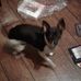 Beth Mcphail - Facebook