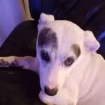 Beth McPhee - Facebook