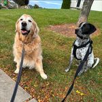 Beth McQuade Bennett - @mcquade64 - Instagram