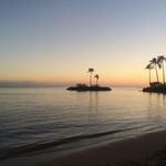 Beth McReynolds - @mcreynoldsbeth - Instagram