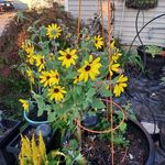 Beth McReynolds Dalton - @grannybug - Instagram