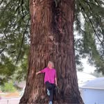Beth Stanley McReynolds - @bethmcreynolds - Instagram