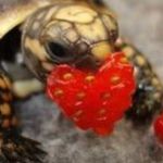 Bethany McReynolds - @bethany_marie2254 - Instagram