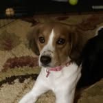 Beth Gibson Meade - @beth_gmeade - Instagram