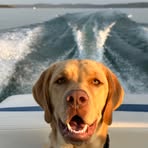 Beth Hines Meier - Facebook